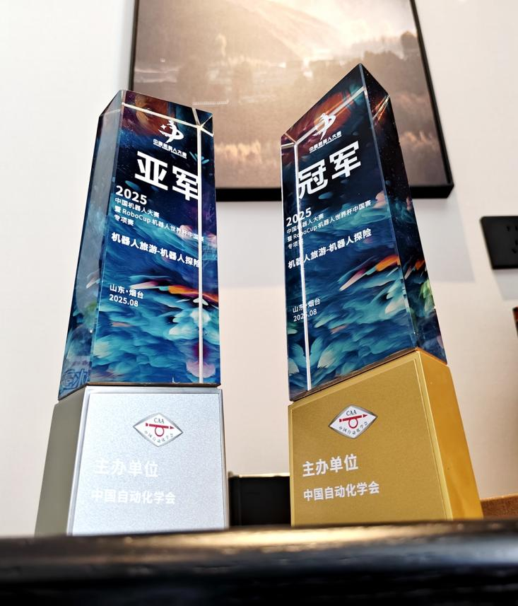 中国机器人, 杯中国赛