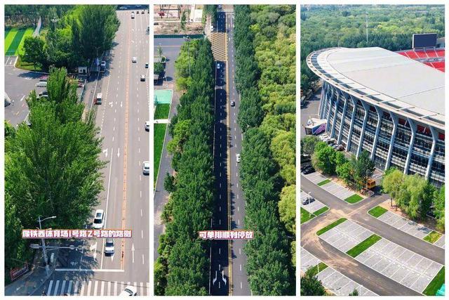 本周六, 铁西森林公 本周六, 铁西森林公