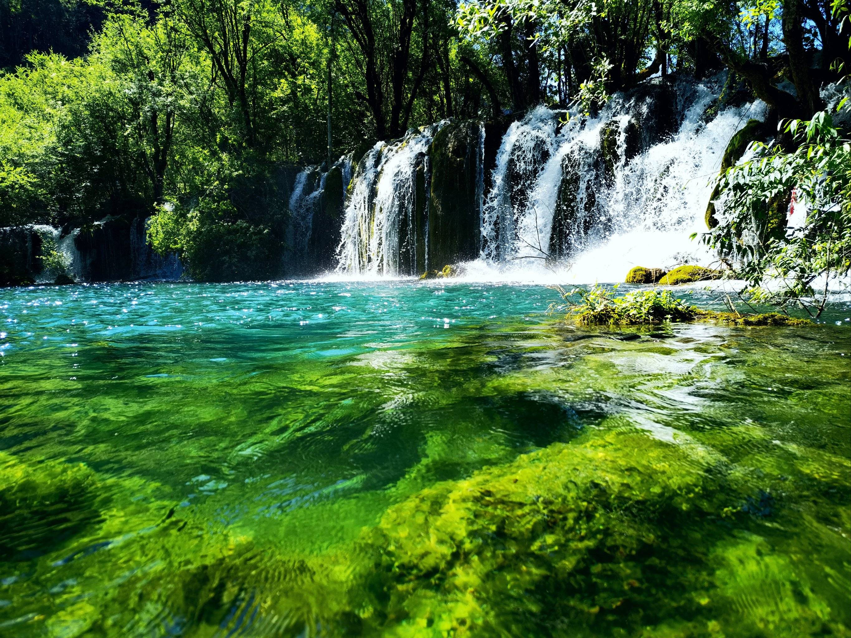 的情况下已, 仅展现了银, 持不败的西 的情况下已, 仅展现了银, 持不败的西